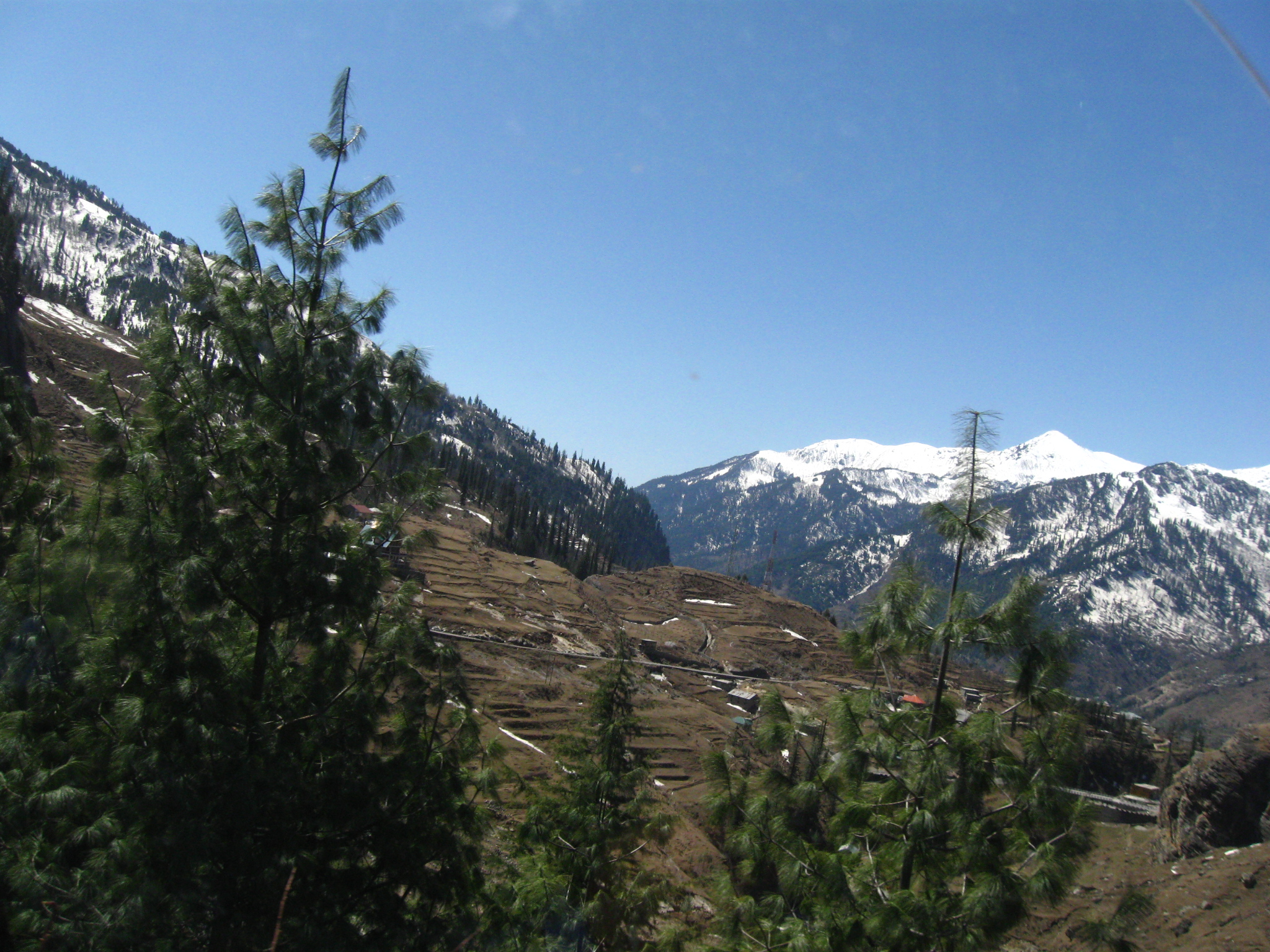 Delhi to Shimla Taxi