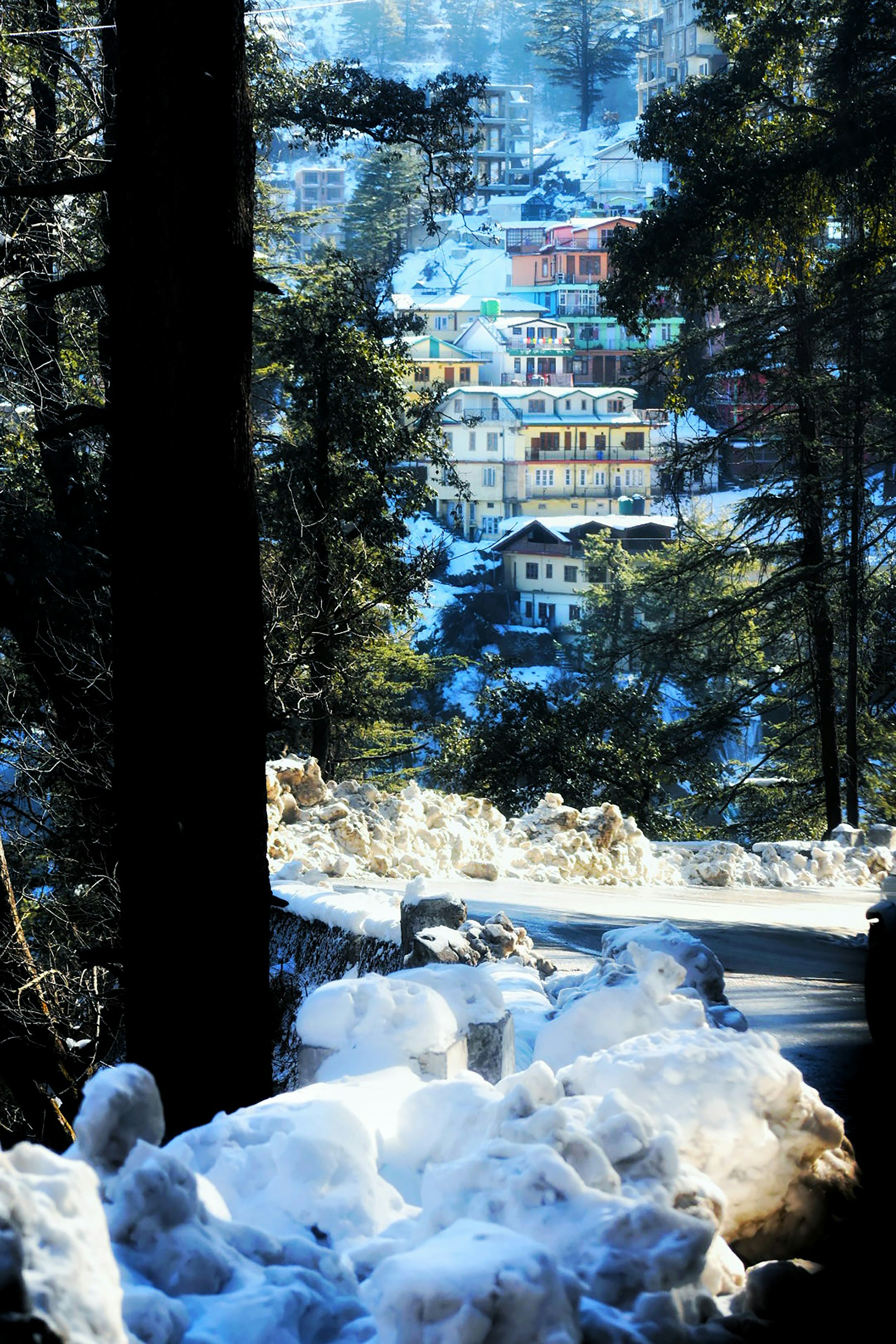 Delhi to Shimla Taxi: Escape to the Queen of Hills